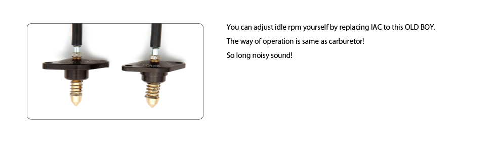 You can adjust idle rpm yourself by replacing IAC to this OLD BOY.
The way of operation is same as carburetor!
So long noisy sound!
